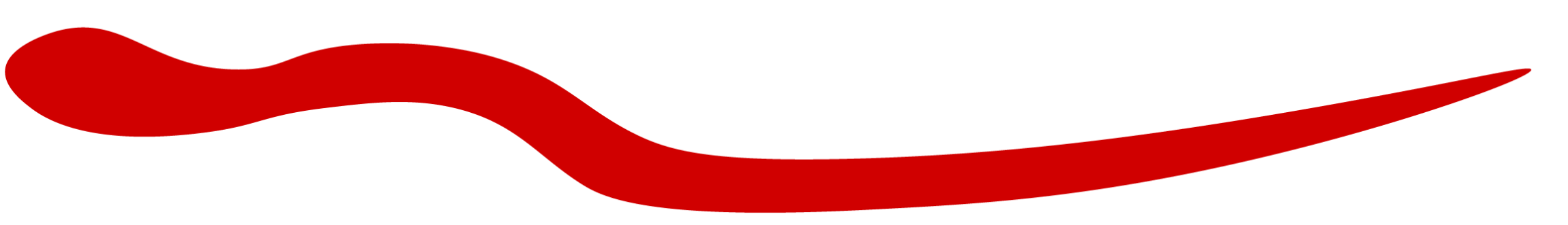 Auberger Vincent Menuiserie